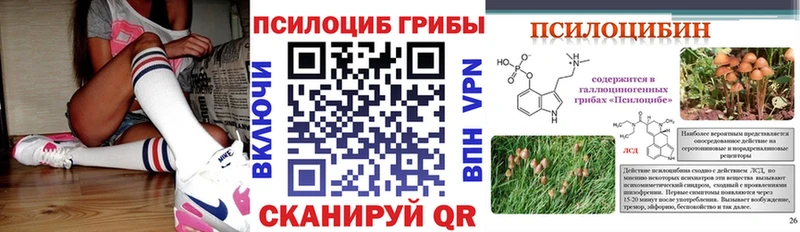 Псилоцибиновые грибы прущие грибы  где купить наркотик  Городище 